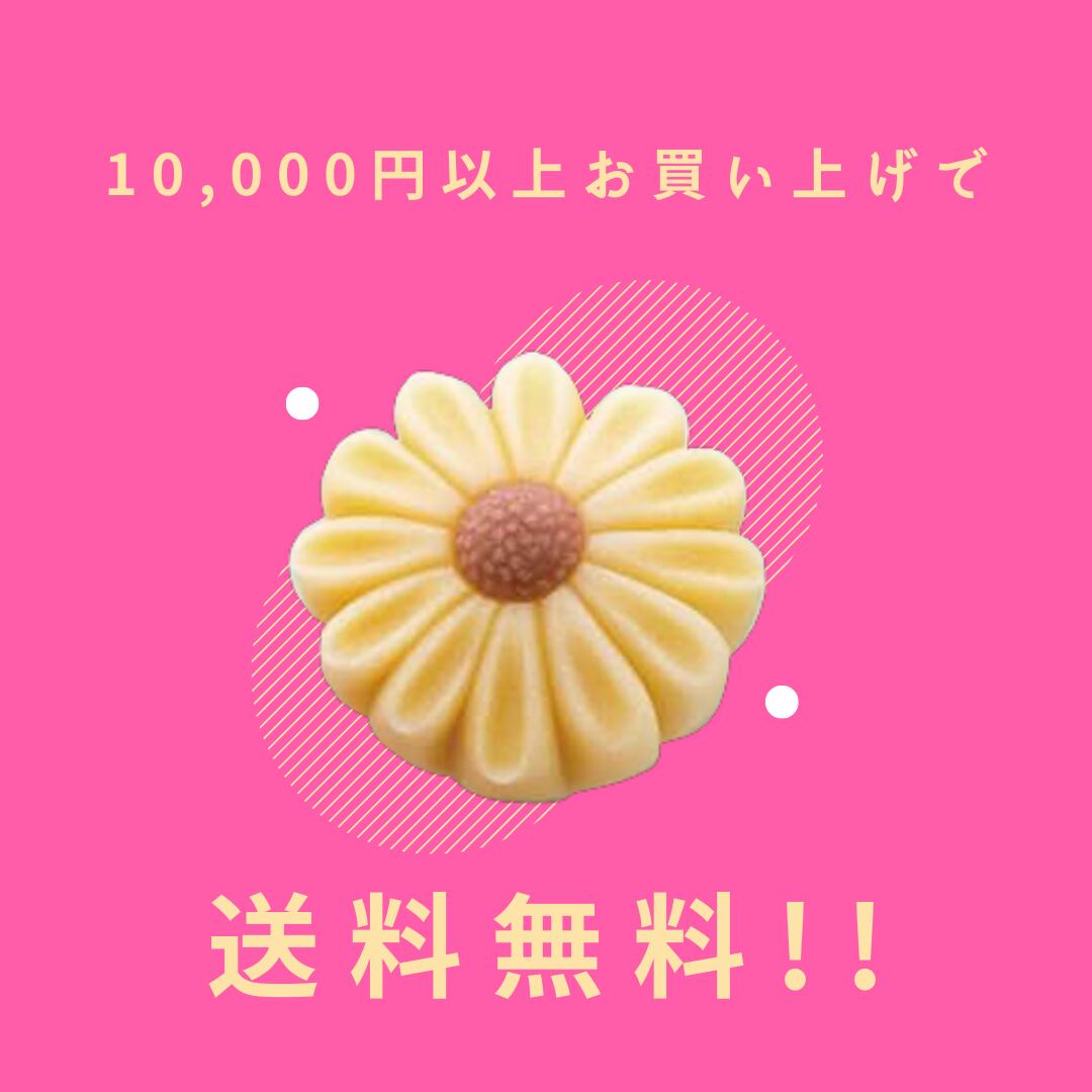 みんなで和菓子すし職人! さわってつくってたべるお寿司
