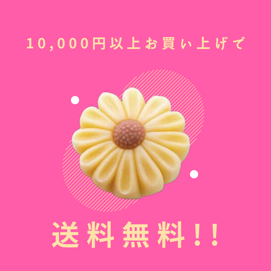 6月限定セット!練りきり作り体験(練りきりキットのみ6個セット)